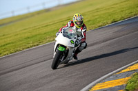 PJ-Motorsport-2019;anglesey-no-limits-trackday;anglesey-photographs;anglesey-trackday-photographs;enduro-digital-images;event-digital-images;eventdigitalimages;no-limits-trackdays;peter-wileman-photography;racing-digital-images;trac-mon;trackday-digital-images;trackday-photos;ty-croes